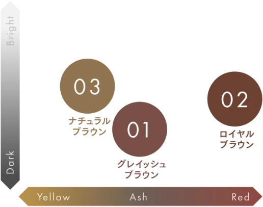 COLOR CHARTの図